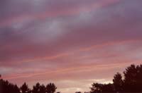 {short description of image}