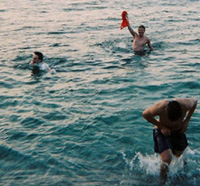 {short description of image}