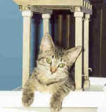 {short description of image}