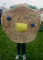 {short description of image}