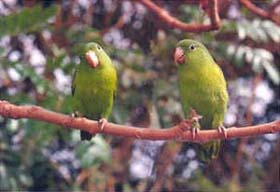 {short description of image}